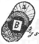 variation of needles