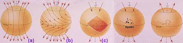 differential rotation