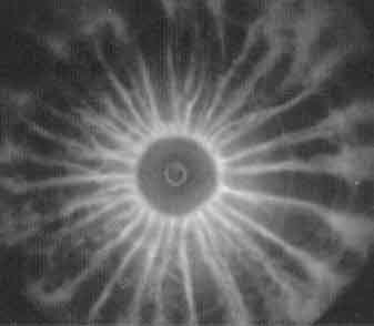 Looking down the plasma focus device