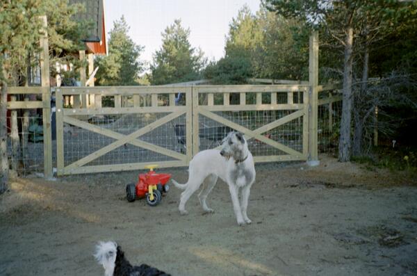 Come on you rascal and I let you have it! You toothless monster!