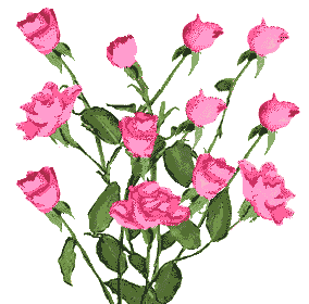 Pink Flowers
