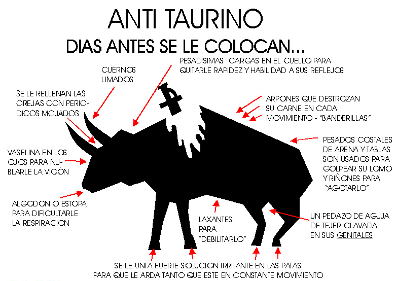 toro1.jpg (129374 bytes)