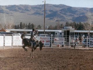 This Photo Is From A High School Rodeo That Was At The Desert Empire Fairgrounds In Ridgecrest.  You May Recognize The Hills In The Background, Home Of Many Desert Parties! Photo Taken By Cathy Padgett Schmeer.