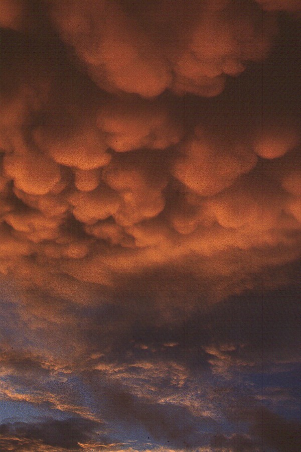 Ridgecest After A Storm
Taken By David McKillop