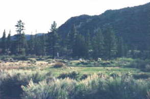 Kennedy Meadows