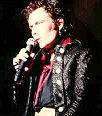 adam ant