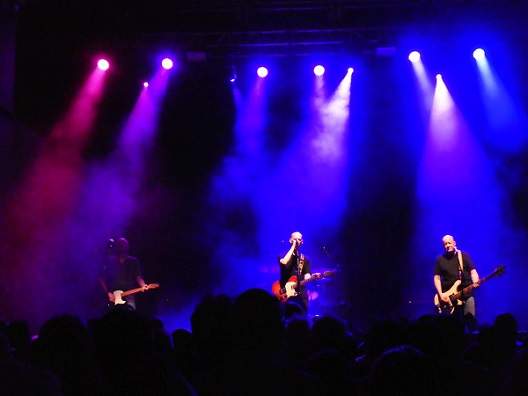 Half Man Half Biscuit