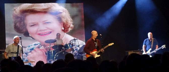 Half Man Half Biscuit