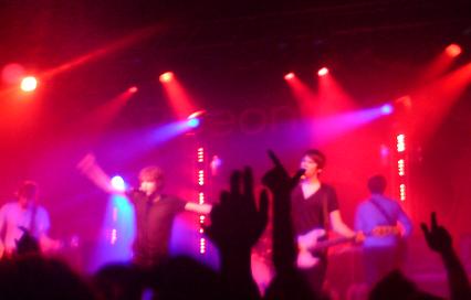 The Pigeon Detectives