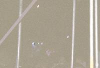 The (International) Noise Conspiracy