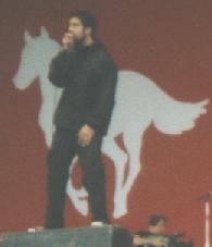 The Deftones