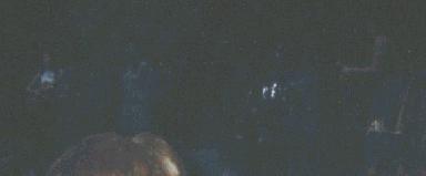 The Bush, The Tree & Me