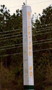 Lynyrd Skynyrd Frynds Webring