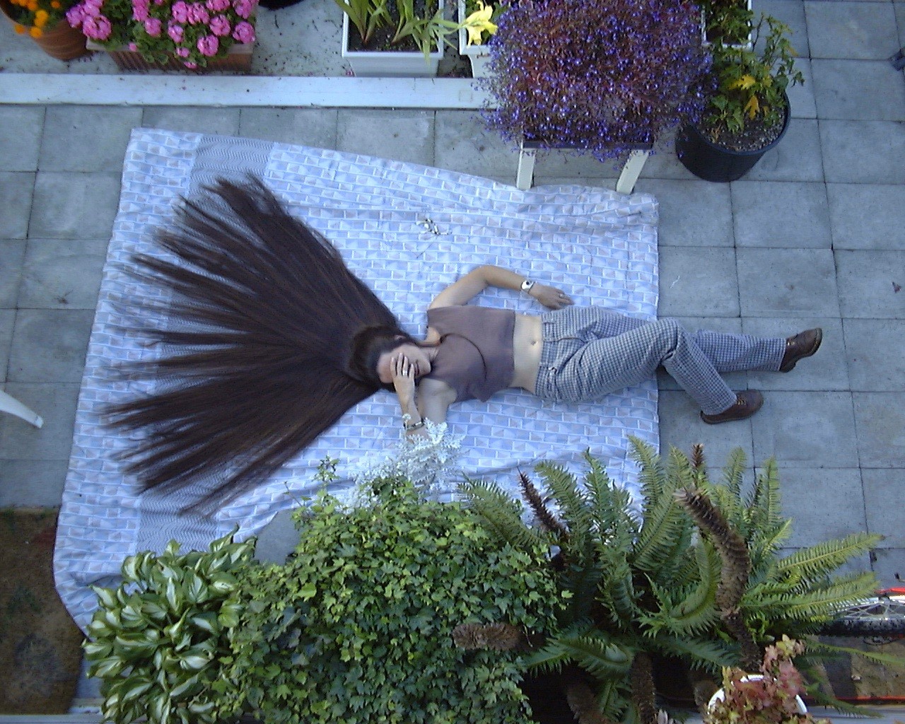 Best2.jpg (456846 bytes)