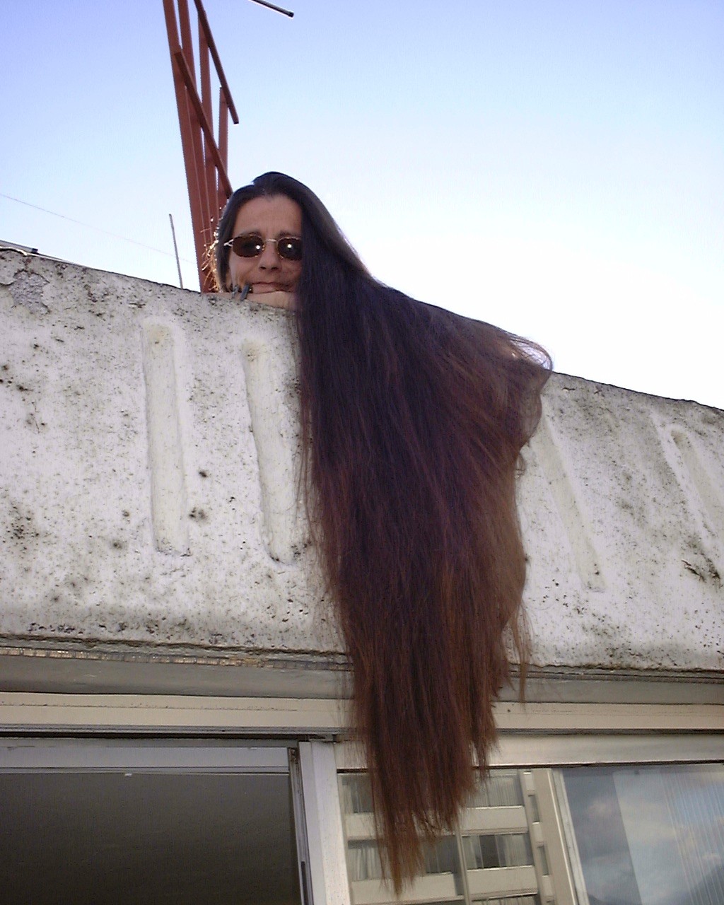 hairhanging12.jpg (262781 bytes)