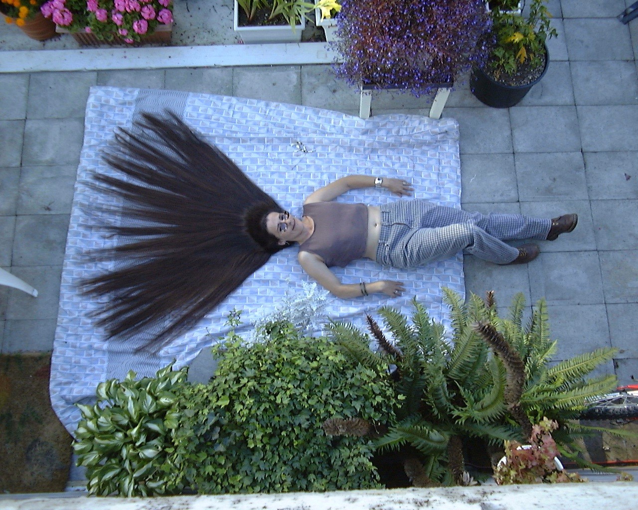 onbackGlasses22.jpg (453784 bytes)