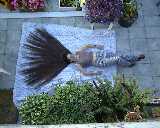 onbackglasses.jpg (5180 bytes)