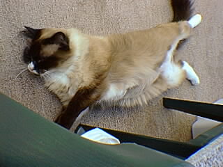 mo.jpg (20765 bytes)