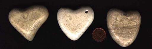 picture96.gif (53482 bytes)