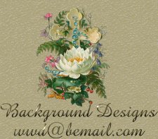 Web Designs by Steff