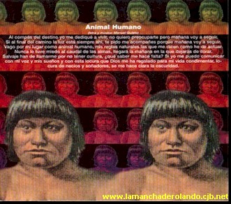 animal2.jpg (44515 bytes)