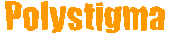 Polystigma: band history