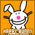 Happy Bunny Fan!