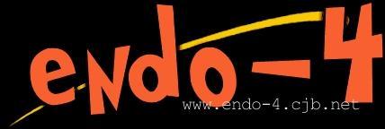 enter the wonderful world of endo-4