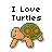 turtle fan