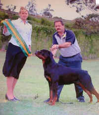 Duke Jun In Show.jpg (58388 bytes)