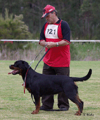 ndrc0908zoey296sm.gif (173991 bytes)