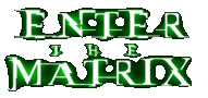 Enter The Matrix Video Game
