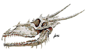 DragonSkull