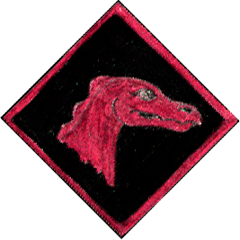 Torayan Weyr Badge