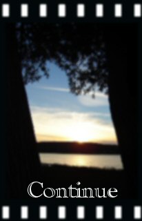 Enter Karli's library...