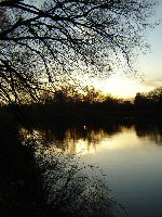 Park: Newmarket, Ontario