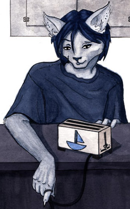 Before you use your toaster, remember to unplug it.