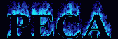 peca3.gif (14283 bytes)
