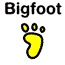 Click Here to Search the Web with bigfoot.com!