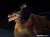 dragon2.jpg (31914 bytes)