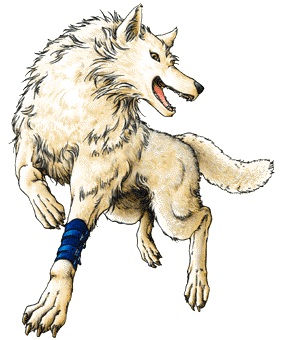 [Enter at your own Risk!]