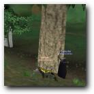 [Click to enlarge image]