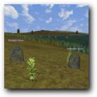 [Click to enlarge image]