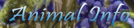 Animal Information