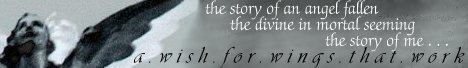 a.wish.for.wings.that.work