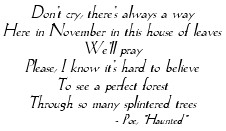 'Here in November in this house of leaves / We'll pray...' - Poe, 'Haunted'