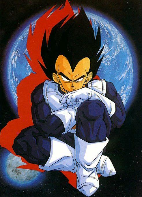Vegeta: Don't give me that stupid look.
