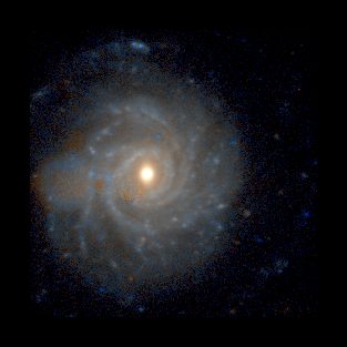 aquilae3.jpg (12472 bytes)