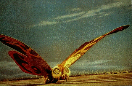 The First Mothra