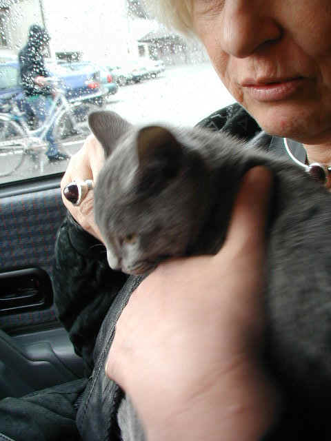 Picb0934.jpg (97519 Byte)